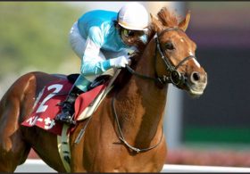 さらば愛しのペルーサ。デビュー後のインパクトと「出遅れ病」、そして「不遇」と「記録的復活」まで。根強い人気を誇った個性的な競走生活