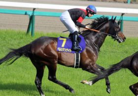 【中山記念（G2）展望】エアスピネル回避で新「マイル王」ペルシアンナイト1強!? 「女王2騎」など豪華メンバーで春競馬が開幕！