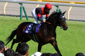 JRAデムーロ「外国人祭仲間外れ」脱却の鍵は……マイルCS（G1）昨年覇者ペルシアンナイトの「期待」と「傾向」