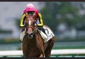 【夏季特別企画】史上最強世代・最後の一冠『菊花賞の行方を占う』Vol.6「武豊に『フランスへ行きましょう！』と言わせた超良血馬が帰還！名牝エアグルーヴの末裔はラスト一冠に間に合うのか」