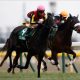 JRA桜花賞（G1）栗東からダノンファンタジーの「貴重情報」！ 侮り禁止の「あの馬」の話も