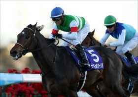 【JRA皐月賞　1000倍馬券のキーホースとは？】狙いは武豊、ルメールのサートゥルナーリアを脅かす極上穴馬！
