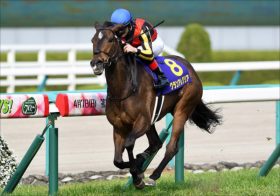 【NHKマイルカップ　究極の下克上！】グランアレグリア、アドマイヤマーズ陣営が恐れるマスコミ完全ノーマークの激走馬を見つけた！