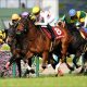 【ヴィクトリアマイル(G1)枠順確定】JRAラッキーライラック×石橋脩、ソウルスターリング×武豊の気になる枠は……