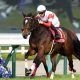 JRA・M.デムーロ「武豊やらかし」安田記念にブチギレ騒動……「生涯最高の出来」ペルシアンナイト大敗に「取材拒否」の嵐