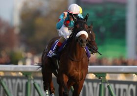 JRA安田記念「アーモンドアイ＆ダノンプレミアムに肉迫」の勝負馬発見!? 最強決定戦を真に見極める”方法”とは