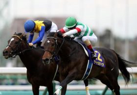 【JRA日本ダービー】ディープ級？サートゥルナーリア徹底検証！関係者コメントまとめと最新情報！