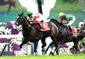 JRA「頂上決戦」安田記念に「落とし穴」？ アーモンドアイ、ダノンプレミアムより重要な「有力情報」の入手先
