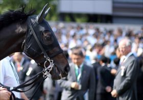 JRA宝塚記念はレイデオロVSキセキ？意外な穴馬が存在！ 風雲急を告げる大物馬主の裏ネタが発覚！