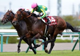 里見治オーナー「『サトノの呪い』などどこ吹く風！リベンジから『制圧』へ反逆の2017年が始まる」 ～2017年の競馬キーマン Vol.1～