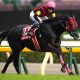 東京大賞典もお任せ!? 「競馬オタクアイドル」桃井はるこが、今年の”締め”に狙いを定める!