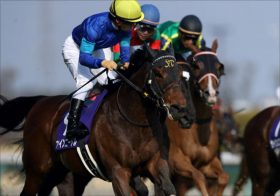 「競馬ファンよ、これが本物の情報だ」競馬関係者も唸る秘蔵の極秘ネタを一挙公開！高松宮記念の超穴馬はコレ！