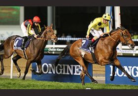 マカヒキの凱旋門賞ライバル続々！ ポストポンド仕切り直しの1戦、注目の3歳馬も登場する英インターナショナルS（G1）