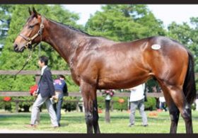 【徹底考察】青葉賞（G2）　プロディガルサン「世代屈指の超良血馬の始動戦。本命候補も『死角』は存在する？」