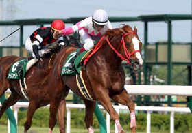 「古豪の意地」か「新勢力の勢い」か……好メンバーのプロキオンS（G3） 昨年「G1馬」の初ダート挑戦にも注目！