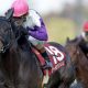 2歳馬の大活躍に「やはり本物」の声多数! 今をときめく「スーパーお父さん」スクリーンヒーローから目を離すな!