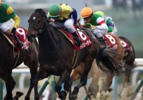 香港QE2C発走直前！ 日本総大将ラブリーデイは、英の天才・R.ムーア騎手の「不気味な分析」を覆せるか!?