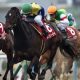 岩田康誠騎手が「ブエナビスタ級」と絶賛の素質馬参戦で話題のフローラS(G2)。頂上決戦オークスへ向かうのはどの馬か!