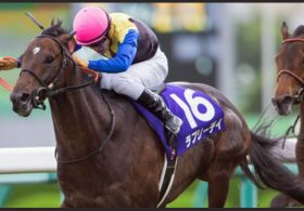 天皇賞「オイシイ馬券」を演出する条件は整った!? 人気落ち確実だが軽視は危険。「王者」ラブリーデイの巻き返しに期待