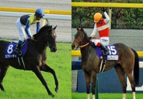 【徹底考察】大阪杯（G2） ラブリーデイ＆ショウナンパンドラ「主役をめぐる激闘が幕を開ける」