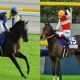 【香港競馬】ラブリーデイら日本勢に立ちはだかる「世界の壁」！ 近年稀に見るハイレベルな一戦に要注目！