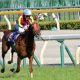 JRA中山記念(G2)ディアドラ最大の弱点……打倒アーモンドアイへ「最高の結果でモレイラへ」ドバイ前哨戦