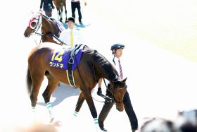 【愛知杯（G3）展望】古馬となっての飛躍を目指すノームコア始動！強い4歳世代は牝馬戦線でも中心になれるのか？