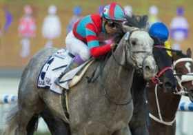 ラニの2017年はドバイWCから米BCCへ！ 世界一の「覇道」を突き進む理由と期待