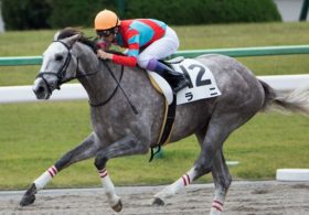 武豊騎手の評価は「ラニ＞アウォーディー」!? ダート界を席巻する兄弟の「評価」と可能性