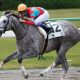 東京大賞典もお任せ!? 「競馬オタクアイドル」桃井はるこが、今年の”締め”に狙いを定める!