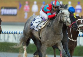 米三冠挑戦・ラニの秋ローテーションが見えてきた！ その「目標」に対しファンが掲げる不安とは？