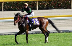 JRAオークス（G1）ラヴズオンリーユー「脚元」に心配の声……勝ち時計はドゥラメンテ「日本ダービー」レコード更新の歴代4位も