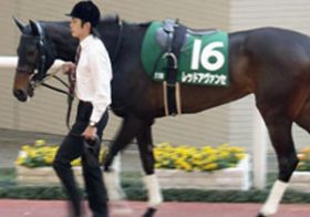 【徹底考察】ウインファビラス＆レッドアヴァンセ 「歴史」を振り返れば、まだまだ捨て切れない実力馬たち