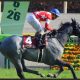 競馬評論家・鈴木和幸の第83回日本ダービー(G1)最終追い切り診断
