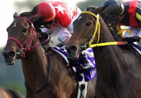 ブエナビスタと激戦、秋華賞馬レッドディザイア死す……挑戦を続けた馬生と、残された「3つの希望」