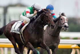 京成杯の結果でレイデオロの評価がますます高騰！ コマノインパルスとマイネルスフェーンを「子ども扱い」した驚愕内容