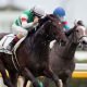 ソウルスターリング単勝馬券3600万円は惨敗! 2億円おじさんになれなかった悲しき現実とあのミラクルとは?