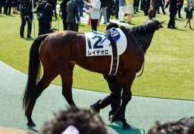 レイデオロ「全弟」がついにデビュー！オークス＆日本ダービー「W制覇」クラシックの主役を務めた藤沢和雄厩舎は「2歳馬」も超良血揃い！
