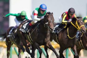 JRA「最強兄弟」仁義なき「ルメール争奪戦」幕開け!? セントライト記念（G2）レイエンダ「最大のライバル」は全兄レイデオロ？