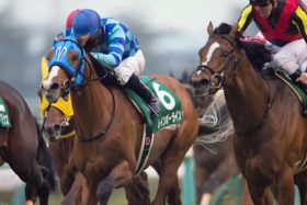 【徹底考察】ジャパンC（G1） レインボーライン「菊花賞2着はフロックではない。血統に見る『過去王者』との共通点」