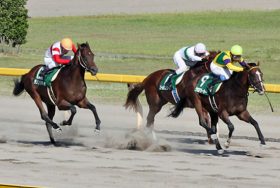 【重賞展望・レパードS】今年の主役は武豊騎手の逃げ馬！夏の3歳ダート重賞に未来のダート界を背負うスター候補が集結！
