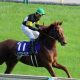 JRAグランアレグリア「桜花賞→NHKマイルC」濃厚? 「ルメールファースト」コントラチェックとの兼ね合いも?