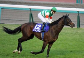 キタサンブラックと激闘を演じた素質馬が復活！ クラシック制覇を期待されたリアファルが復帰戦へ向け好気配