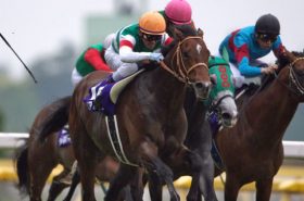 リアルインパクトが「キズナ越え」の種付け数！ オーストラリアG1を制して生まれたメリットとは