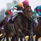 ノヴェリストは他の欧州種牡馬とは違う!? 日本実績抜群の「ルーツ」と配合の妙に期待