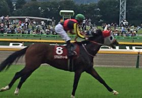 JRAも「3・4歳」に失望か……ソウルスターリング・マカヒキ「傷持つリアルスティール」に惨敗で死屍累々の若駒たち