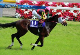 リアルスティール×戸崎圭太の「深イイ話」？ 巡り巡ってやってきた中山記念「幻のお手馬」の騎乗チャンスをモノにできるか!? ドバイ連覇へ向けて力を示す一戦。