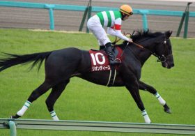 「暴走癖」リオンディーズは天皇賞・秋を目標に！ 「弱点」を克服し、世代屈指の能力解放に期待大