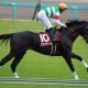 武豊騎手が「メッチャいい!」ついに『JRA全G1完全勝利』の大記録達成なるか!?日本競馬のレジェンドがデビュー間近のエアスピネル全弟を大絶賛!