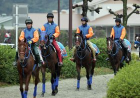 あのディープインパクト産駒の1億円馬が強制引退？3歳未勝利戦の悲しき現実と裏事情